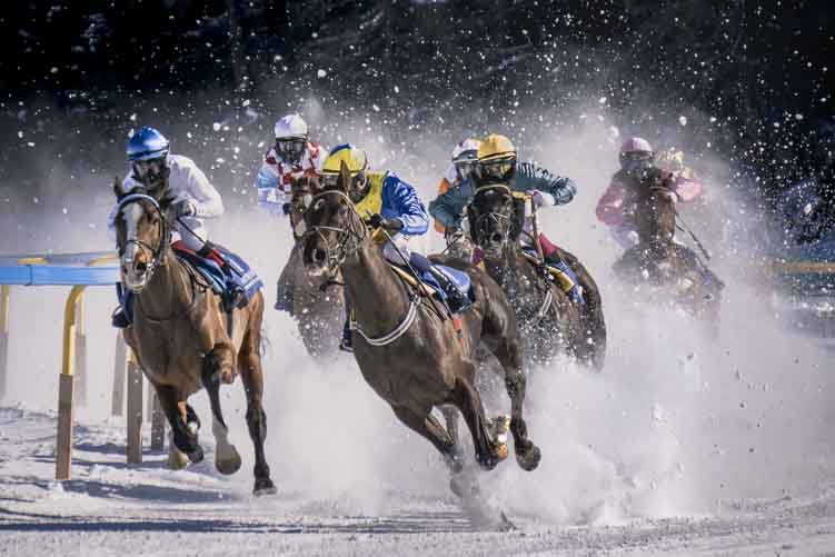 horse-racing-photo-snow